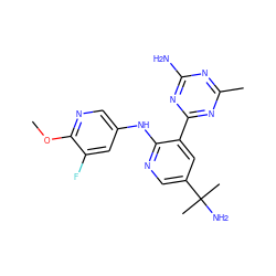 COc1ncc(Nc2ncc(C(C)(C)N)cc2-c2nc(C)nc(N)n2)cc1F ZINC000113153746