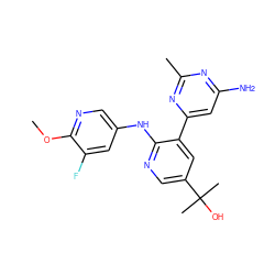 COc1ncc(Nc2ncc(C(C)(C)O)cc2-c2cc(N)nc(C)n2)cc1F ZINC000113150713