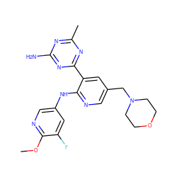 COc1ncc(Nc2ncc(CN3CCOCC3)cc2-c2nc(C)nc(N)n2)cc1F ZINC000113150670