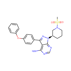 CS(=O)(=O)N1CCC[C@@H](n2nc(-c3ccc(Oc4ccccc4)cc3)c3c(N)ncnc32)C1 ZINC000653782781