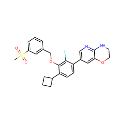 CS(=O)(=O)c1cccc(COc2c(C3CCC3)ccc(-c3cnc4c(c3)OCCN4)c2F)c1 ZINC000224577940