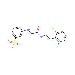 CS(=O)(=O)c1cccc(NCC(=O)N/N=C/c2c(Cl)cncc2Cl)c1 ZINC000201288040