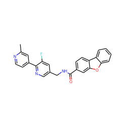 Cc1cc(-c2ncc(CNC(=O)c3ccc4c(c3)oc3ccccc34)cc2F)ccn1 ZINC001772649898