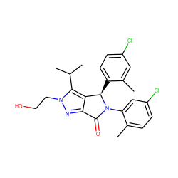 Cc1cc(Cl)ccc1[C@@H]1c2c(nn(CCO)c2C(C)C)C(=O)N1c1cc(Cl)ccc1C ZINC000224075946