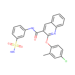 Cc1cc(Cl)ccc1Oc1nc2ccccc2cc1C(=O)Nc1cccc(S(N)(=O)=O)c1 ZINC000143181113
