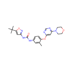 Cc1cc(NC(=O)Nc2cc(C(C)(C)C)on2)ccc1Oc1cc(N2CCOCC2)ncn1 ZINC001772616746