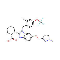 Cc1cc(OC(F)(F)F)ccc1Cn1c([C@H]2CCCC[C@H]2C(=O)O)nc2ccc(OCc3ccn(C)n3)cc21 ZINC000218037854