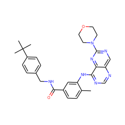 Cc1ccc(C(=O)NCc2ccc(C(C)(C)C)cc2)cc1Nc1ncnc2cnc(N3CCOCC3)nc12 ZINC000148237338