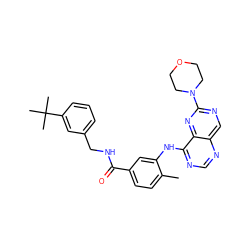Cc1ccc(C(=O)NCc2cccc(C(C)(C)C)c2)cc1Nc1ncnc2cnc(N3CCOCC3)nc12 ZINC000148245158