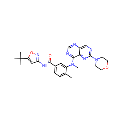 Cc1ccc(C(=O)Nc2cc(C(C)(C)C)on2)cc1N(C)c1ncnc2cnc(N3CCOCC3)nc12 ZINC000148364206