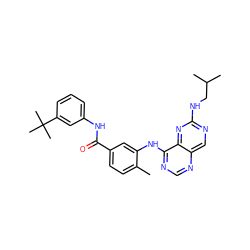 Cc1ccc(C(=O)Nc2cccc(C(C)(C)C)c2)cc1Nc1ncnc2cnc(NCC(C)C)nc12 ZINC000148327385
