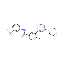 Cc1ccc(C(=O)Nc2cccc(C(F)(F)F)c2)cc1-c1cc(N2CCOCC2)ncn1 ZINC001772623836