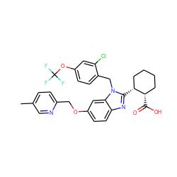 Cc1ccc(COc2ccc3nc([C@@H]4CCCC[C@@H]4C(=O)O)n(Cc4ccc(OC(F)(F)F)cc4Cl)c3c2)nc1 ZINC000226033210