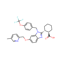 Cc1ccc(COc2ccc3nc([C@@H]4CCCC[C@H]4C(=O)O)n(Cc4ccc(OC(F)(F)F)cc4)c3c2)nc1 ZINC000218242880