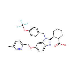 Cc1ccc(COc2ccc3nc([C@H]4CCCC[C@@H]4C(=O)O)n(Cc4ccc(OC(F)(F)F)cc4)c3c2)nc1 ZINC000226029805