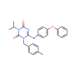 Cc1ccc(Cn2c(Nc3ccc(Oc4ccccc4)cc3)nc(=O)n(C(C)C)c2=O)cc1 ZINC000200526806