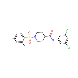 Cc1ccc(S(=O)(=O)N2CCC(C(=O)Nc3cc(Cl)cc(Cl)c3)CC2)c(C)c1 ZINC000095597000