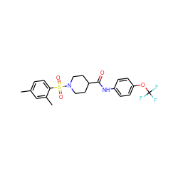 Cc1ccc(S(=O)(=O)N2CCC(C(=O)Nc3ccc(OC(F)(F)F)cc3)CC2)c(C)c1 ZINC000014906206