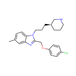 Cc1ccc2c(c1)nc(COc1ccc(Cl)cc1)n2CCC[C@@H]1CCCNC1 ZINC000026648195