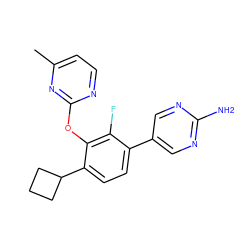 Cc1ccnc(Oc2c(C3CCC3)ccc(-c3cnc(N)nc3)c2F)n1 ZINC000212149908