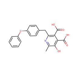 Cc1nc(Cc2ccc(Oc3ccccc3)cc2)c(C(=O)O)c(C(=O)O)c1O ZINC000103242009