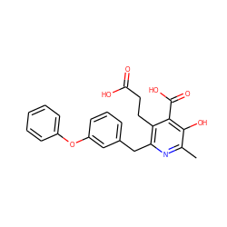 Cc1nc(Cc2cccc(Oc3ccccc3)c2)c(CCC(=O)O)c(C(=O)O)c1O ZINC000103242035