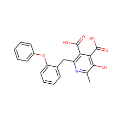 Cc1nc(Cc2ccccc2Oc2ccccc2)c(C(=O)O)c(C(=O)O)c1O ZINC000103242012