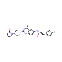 Cc1nc(N2CCC(N3CCCC3=O)CC2)nc2ccc(NC(=O)/C=C/c3ccc(Cl)cc3)cc12 ZINC000084596913