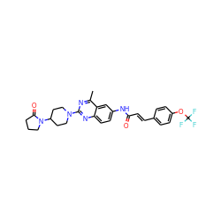 Cc1nc(N2CCC(N3CCCC3=O)CC2)nc2ccc(NC(=O)/C=C/c3ccc(OC(F)(F)F)cc3)cc12 ZINC000084596911