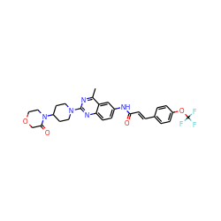 Cc1nc(N2CCC(N3CCOCC3=O)CC2)nc2ccc(NC(=O)/C=C/c3ccc(OC(F)(F)F)cc3)cc12 ZINC000084617830