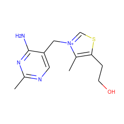 Cc1ncc(C[n+]2csc(CCO)c2C)c(N)n1 ZINC000000049153