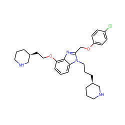 Clc1ccc(OCc2nc3c(OCC[C@@H]4CCCNC4)cccc3n2CCC[C@@H]2CCCNC2)cc1 ZINC000013780310