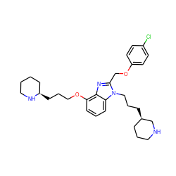 Clc1ccc(OCc2nc3c(OCCC[C@@H]4CCCCN4)cccc3n2CCC[C@@H]2CCCNC2)cc1 ZINC000013780306