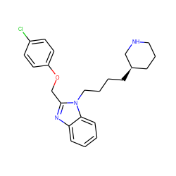 Clc1ccc(OCc2nc3ccccc3n2CCCC[C@@H]2CCCNC2)cc1 ZINC000013780288
