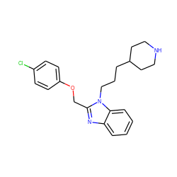 Clc1ccc(OCc2nc3ccccc3n2CCCC2CCNCC2)cc1 ZINC000013780291