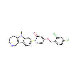 Cn1c2c(c3ccc(-n4ccc(OCc5ccc(Cl)cc5Cl)cc4=O)cc31)CNCCC2 ZINC000115012580