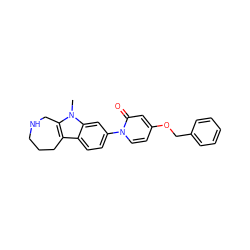 Cn1c2c(c3ccc(-n4ccc(OCc5ccccc5)cc4=O)cc31)CCCNC2 ZINC000115009918