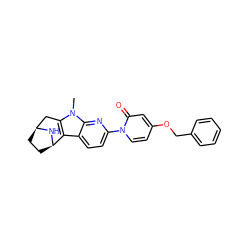 Cn1c2c(c3ccc(-n4ccc(OCc5ccccc5)cc4=O)nc31)[C@H]1CC[C@@H](C2)N1 ZINC000113223021