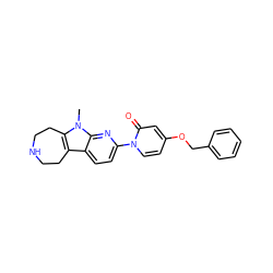 Cn1c2c(c3ccc(-n4ccc(OCc5ccccc5)cc4=O)nc31)CCNCC2 ZINC000115009853