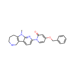 Cn1c2c(c3ccc(-n4ccc(OCc5ccccc5)cc4=O)nc31)CNCCC2 ZINC000115010465