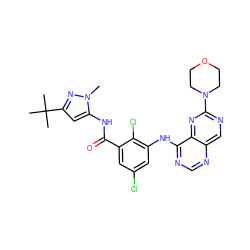 Cn1nc(C(C)(C)C)cc1NC(=O)c1cc(Cl)cc(Nc2ncnc3cnc(N4CCOCC4)nc23)c1Cl ZINC000148267324