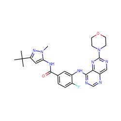 Cn1nc(C(C)(C)C)cc1NC(=O)c1ccc(F)c(Nc2ncnc3cnc(N4CCOCC4)nc23)c1 ZINC000148271481