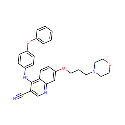 N#Cc1cnc2cc(OCCCN3CCOCC3)ccc2c1Nc1ccc(Oc2ccccc2)cc1 ZINC000026716443