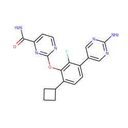 NC(=O)c1ccnc(Oc2c(C3CCC3)ccc(-c3cnc(N)nc3)c2F)n1 ZINC000212144723