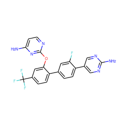 Nc1ccnc(Oc2cc(C(F)(F)F)ccc2-c2ccc(-c3cnc(N)nc3)c(F)c2)n1 ZINC000224810831