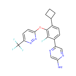 Nc1cnc(-c2ccc(C3CCC3)c(Oc3ccc(C(F)(F)F)nn3)c2F)cn1 ZINC000224573421