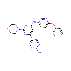 Nc1ncc(-c2cc(Nc3ccc(Oc4ccccc4)nc3)nc(N3CCOCC3)n2)cn1 ZINC000066076751