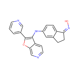 O/N=C1/CCc2cc(Nc3c(-c4cccnc4)oc4cnccc34)ccc21 ZINC000102820990