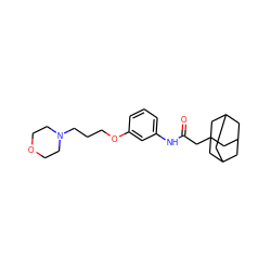 O=C(CC12CC3CC(CC(C3)C1)C2)Nc1cccc(OCCCN2CCOCC2)c1 ZINC000034885166