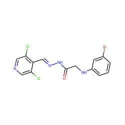O=C(CNc1cccc(Br)c1)N/N=C/c1c(Cl)cncc1Cl ZINC000201287586